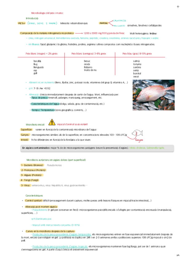 TEMA-5-Peix-I-Marisc.pdf