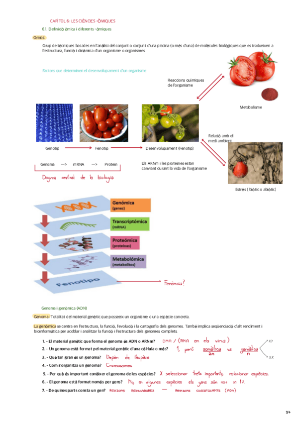 CAPITOL-6-LES-CIENCIES-OMIQUES.pdf
