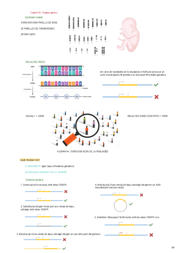 Capitol-10-Terapia-genica.pdf