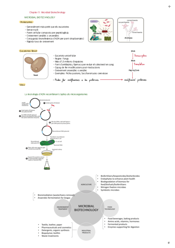 Chapter-11-Microbial-Biotechnology.pdf