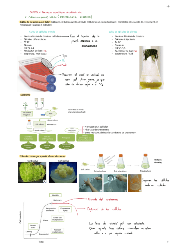 CHAPTER-4-Specific-in-vitro-culture-techniques.pdf