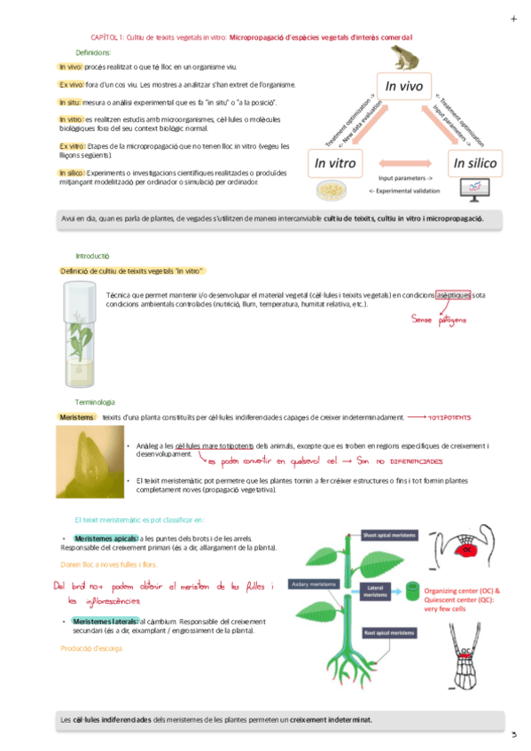 CHAPTER-1-Plant-in-vitro-tissue-culture.pdf