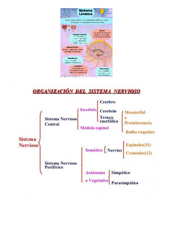 Diseno-sin-titulo202412300028000000.pdf