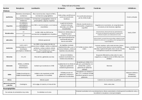 NEUROTRANSMISORES.pdf