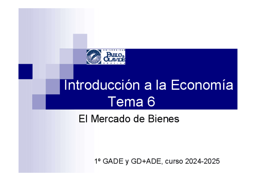 EcoIntroTema62024vf.pdf