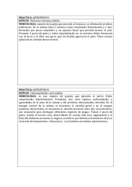 practicas para.pdf