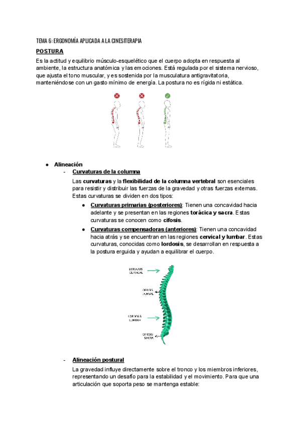 TEMA-6-ERGONOMIA-APLICADA-A-LA-CINESITERAPIA.pdf