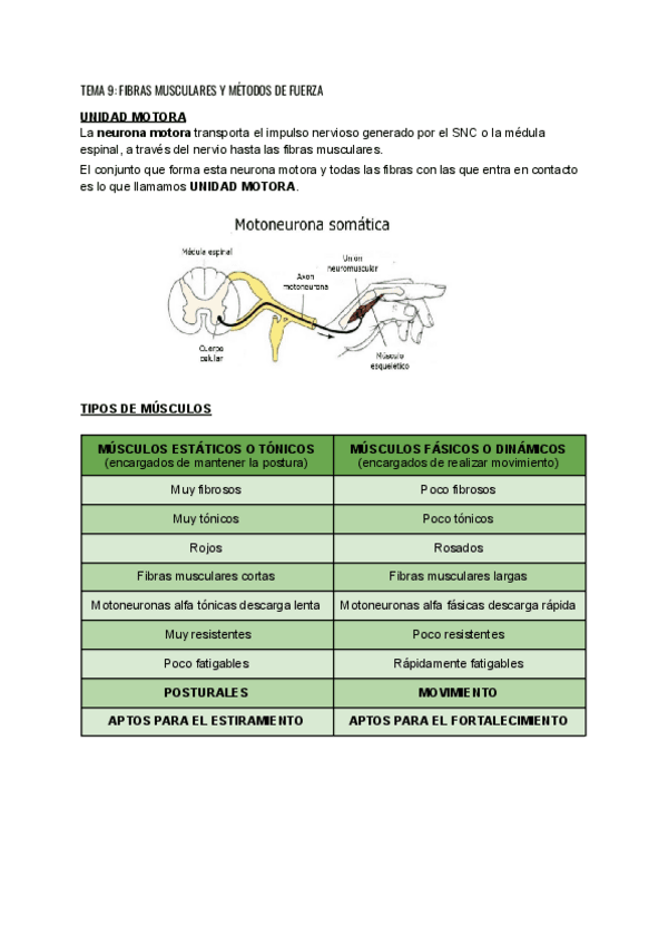 TEMA-9-FIBRAS-MUSCULARES-Y-METODOS-DE-FUERZA.pdf