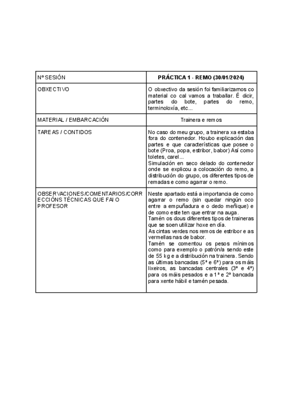 Memoria-Practicas-Remo.pdf