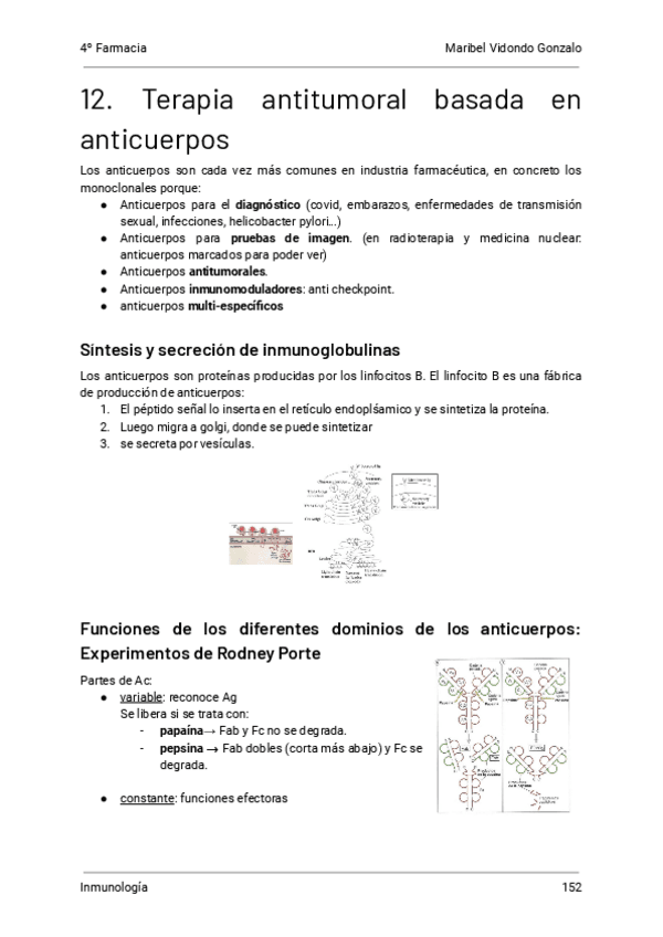 12.-Terapia-antitumoral-basada-en-anticuerpos-Inmunologia.pdf