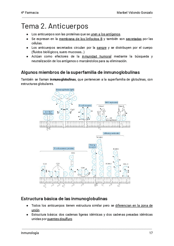 2.-Anticuerpos-Inmunologia.pdf