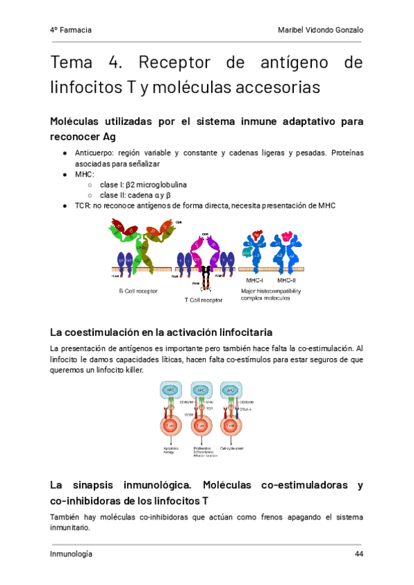 4.-Receptor-de-antigenos-de-linfocitos-T-y-moleculas-accesorias-Inmunologia.pdf