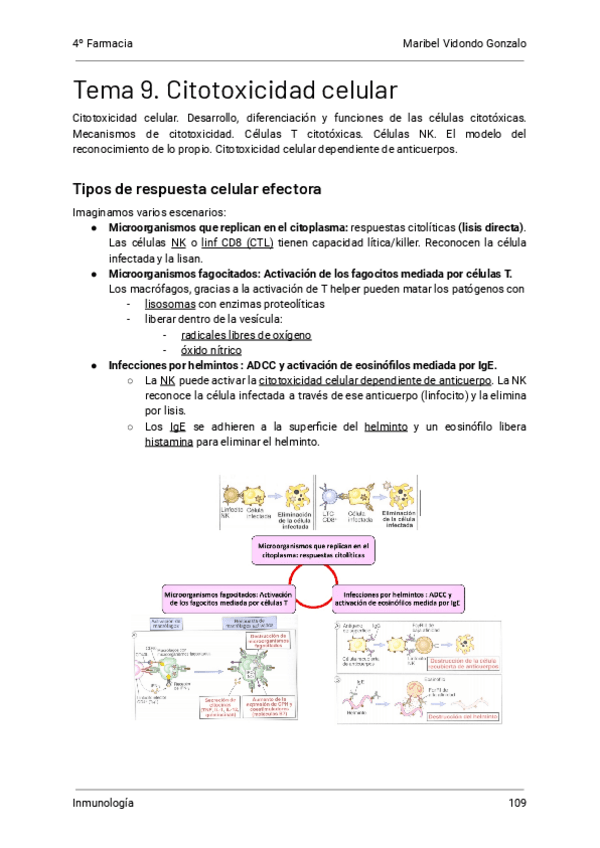 9.-Citotoxicidad-celular-Inmunologia.pdf