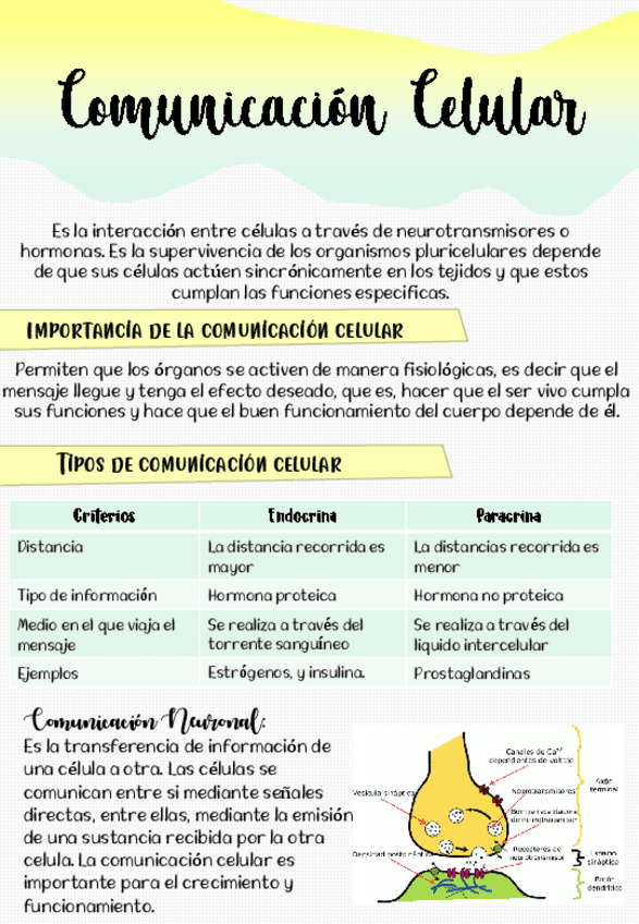 comunicacion-celular-c-y-t.pdf