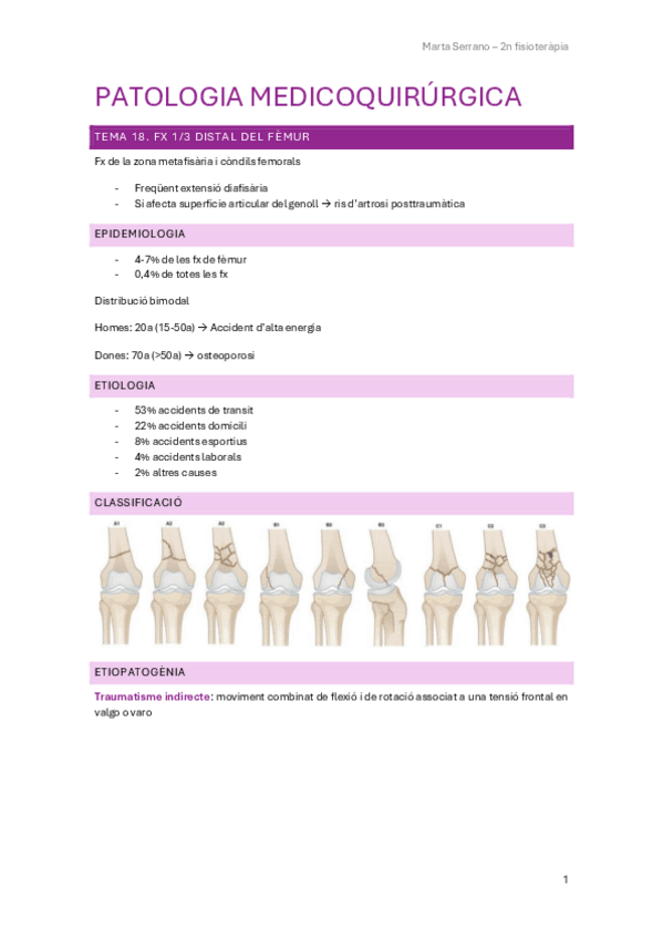 APUNTS-PARCIAL-2.pdf