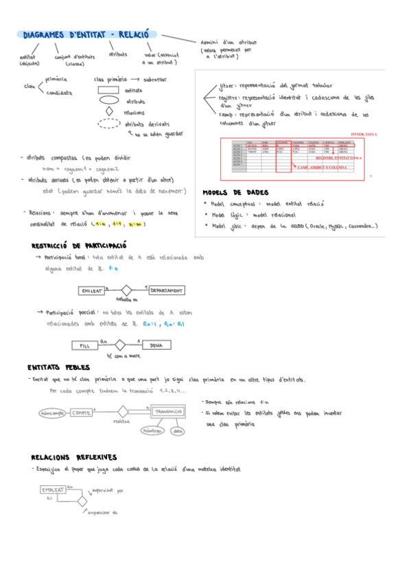 Resum-BD-Primera-Part.pdf