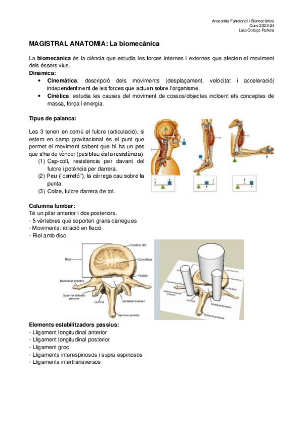 Magistralanatomia.pdf