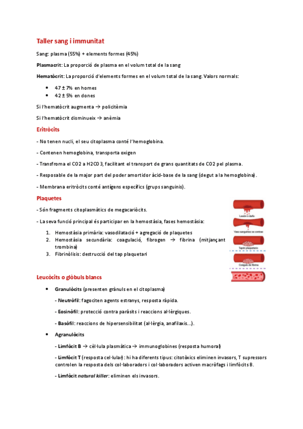 Taller-sang-i-immunitat.pdf