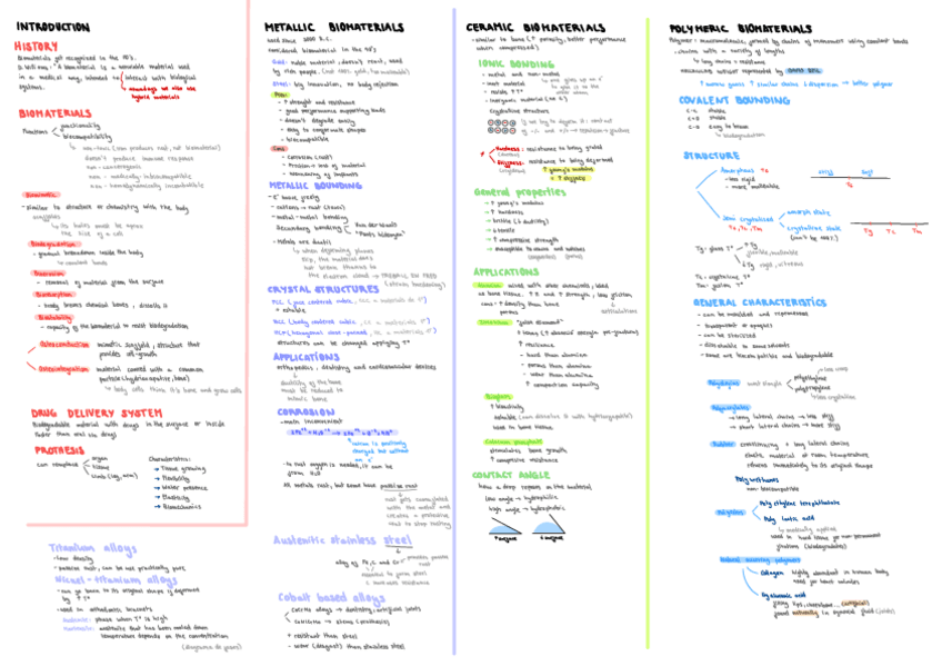 Resum-mini-biomaterials.pdf