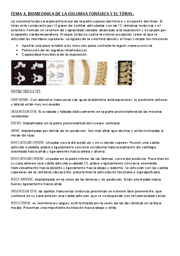TEMA-4-BIOMECIANICA.pdf