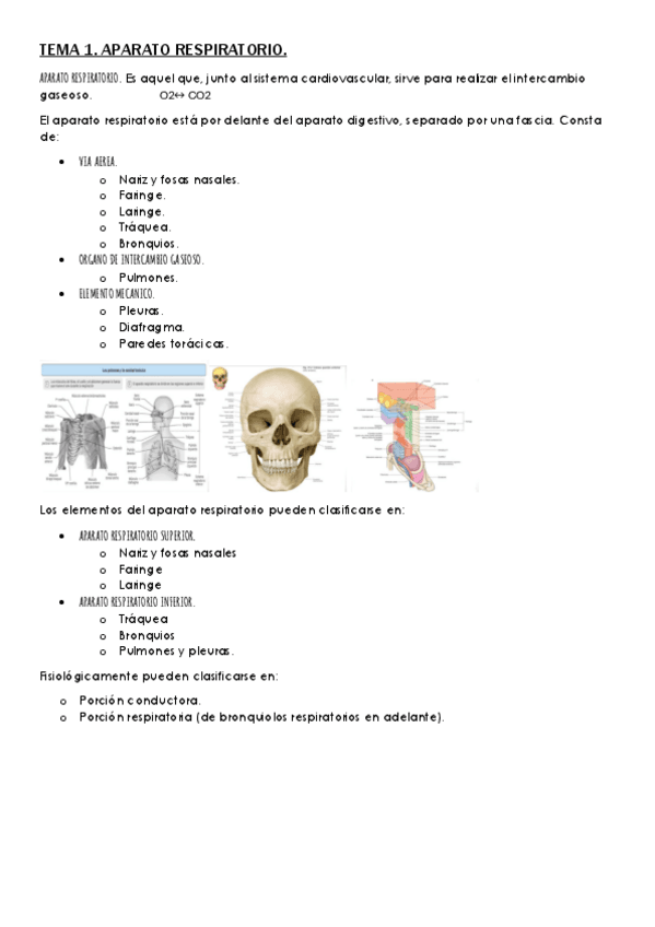 TEMA-1-RESPI.pdf