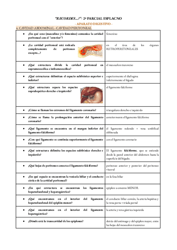 recordes-2pde-estomago-a-recto.pdf