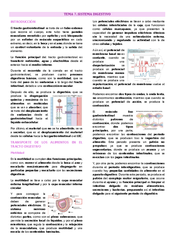 Tema 7 Fisiología animal, Sistema digestivo.pdf