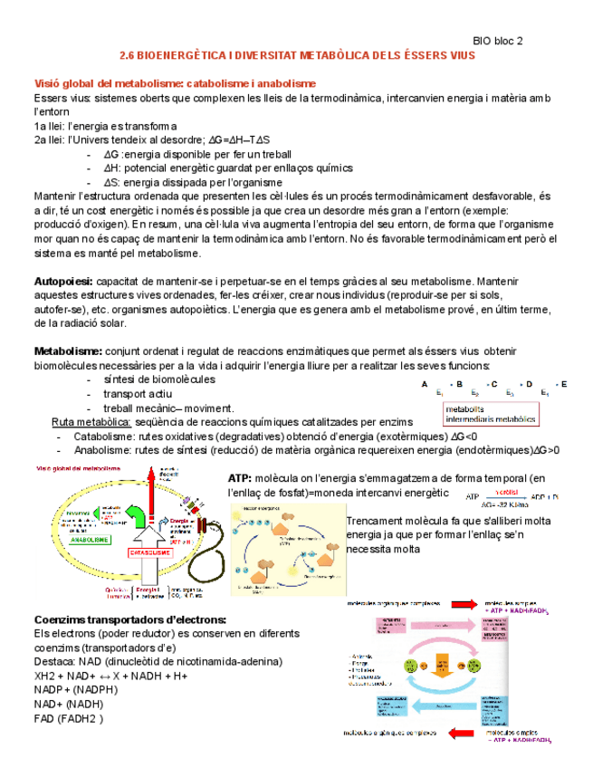 2.6-Bioenergetica-i-diversitat-metabolica-dels-essers-vius.pdf