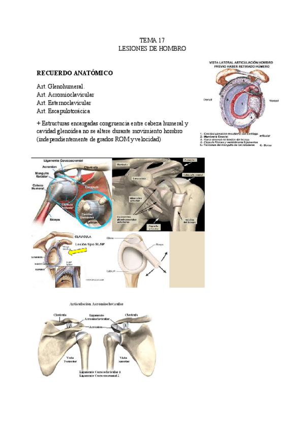 TEMA-17-LESIONES.pdf