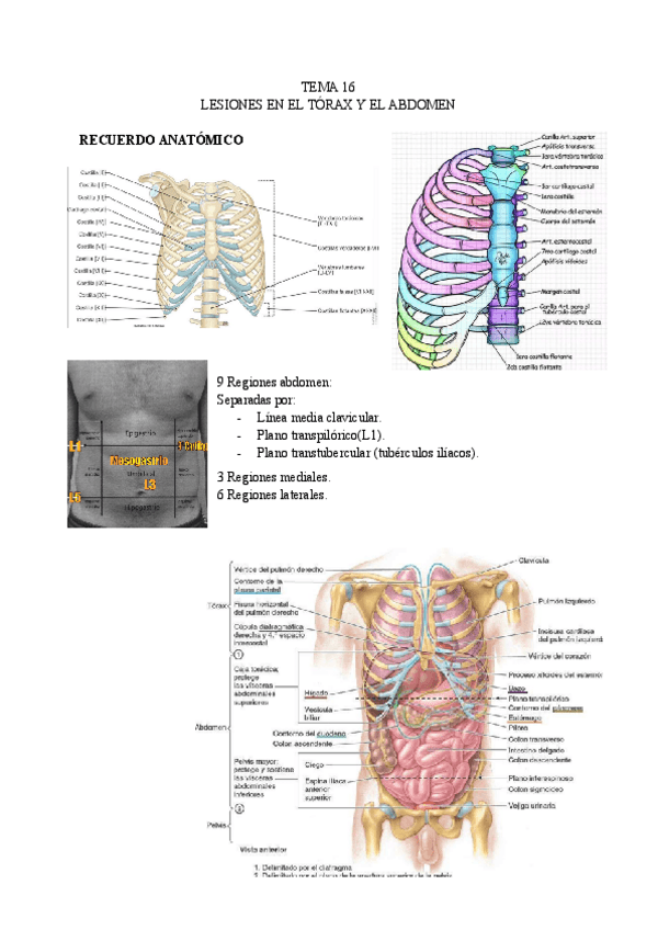 TEMA-16-LESIONES.pdf