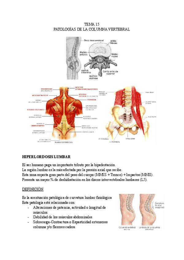 TEMA-15-LESIONES.pdf