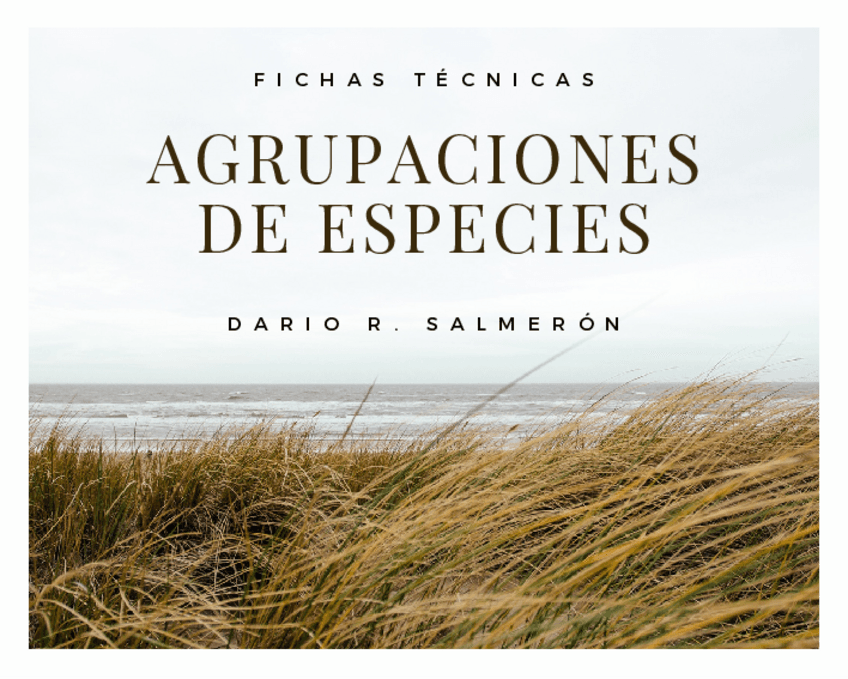 Fichas-de-plantas.pdf