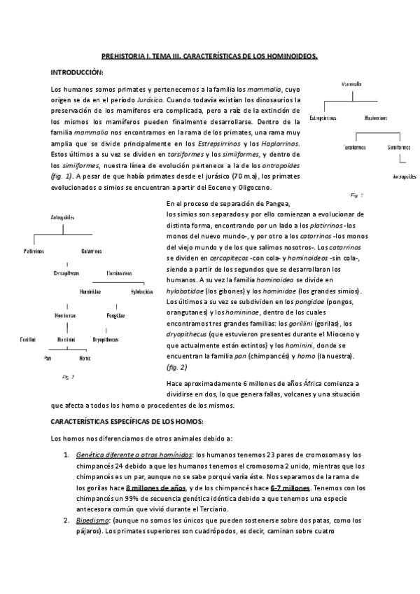 PREHISTORIA-I-TEMA-III.pdf