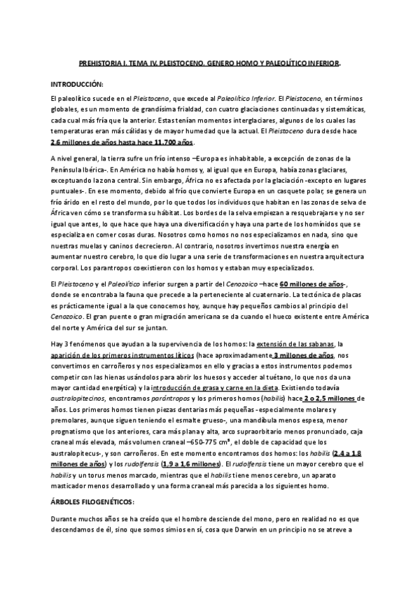 PREHISTORIA-I-TEMA-IV.pdf