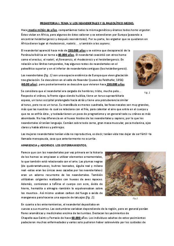 PREHISTORIA-I-TEMA-V.pdf