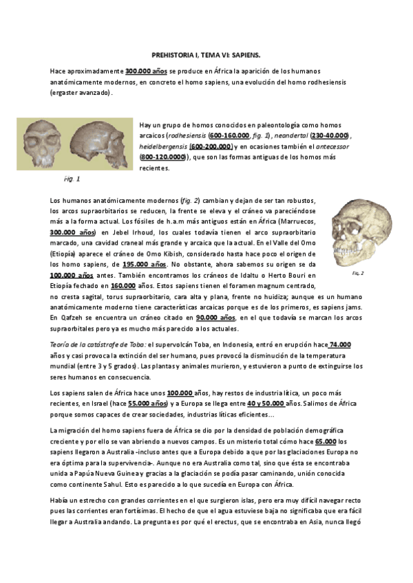 PREHISTORIA-I-TEMA-VI.pdf