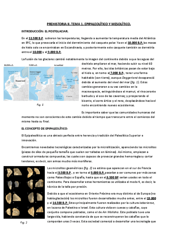 PREHISTORIA-II-TEMA-I.pdf