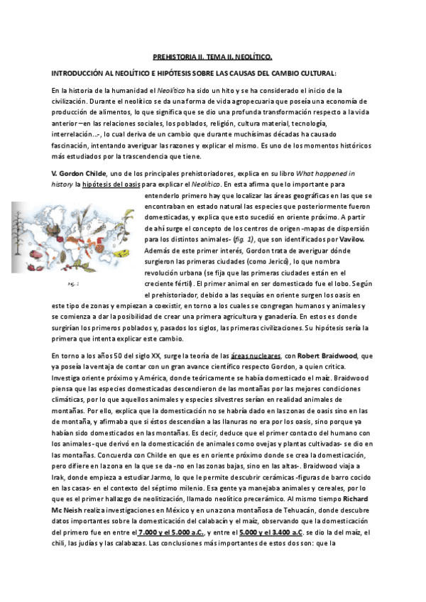 PREHISTORIA-II-TEMA-II.pdf