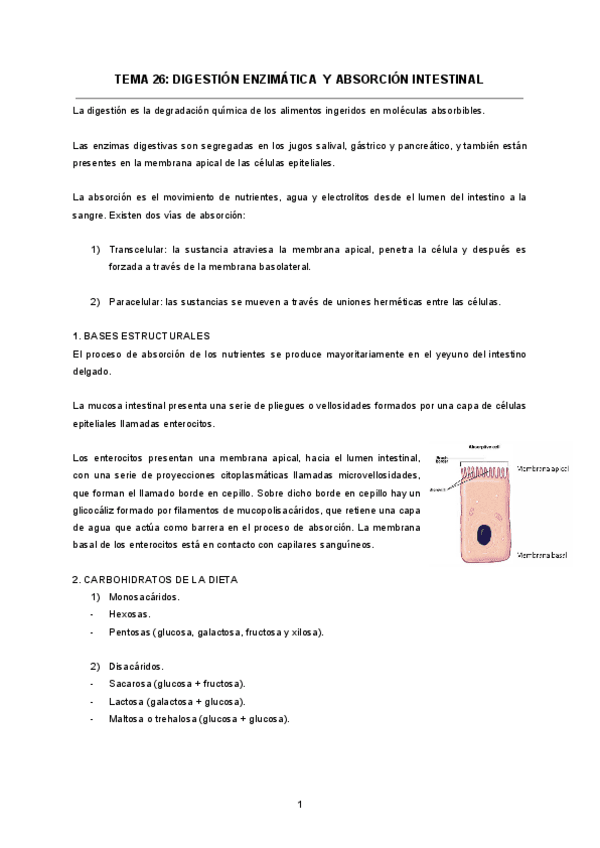 TEMA-26-DIGESTION-ENZIMATICA-Y-ABSORCION-INTESTINAL.pdf