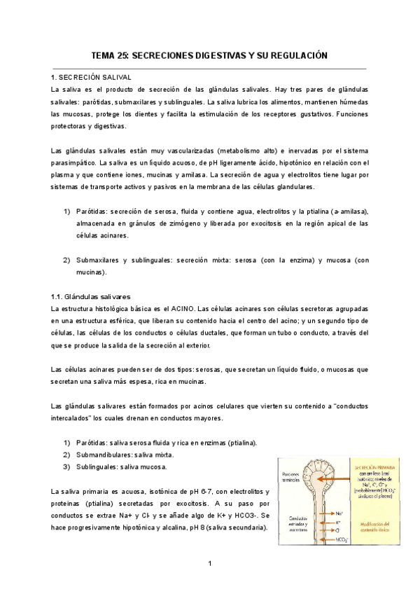 TEMA-25-SECRECIONES-DIGESTIVAS-Y-SU-REGULACION.pdf