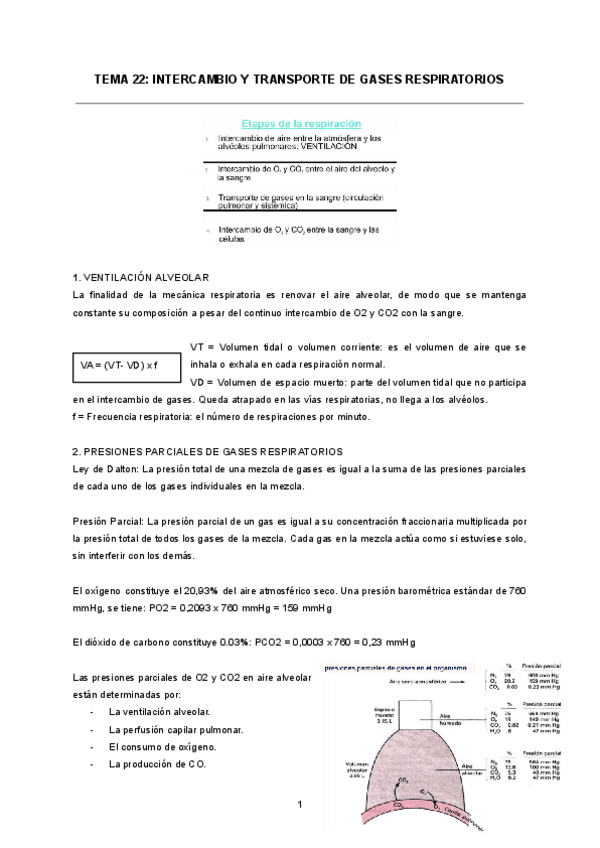 TEMA-22-INTERCAMBIO-Y-TRANSPORTE-DE-GASES-RESPIRATORIOS.pdf