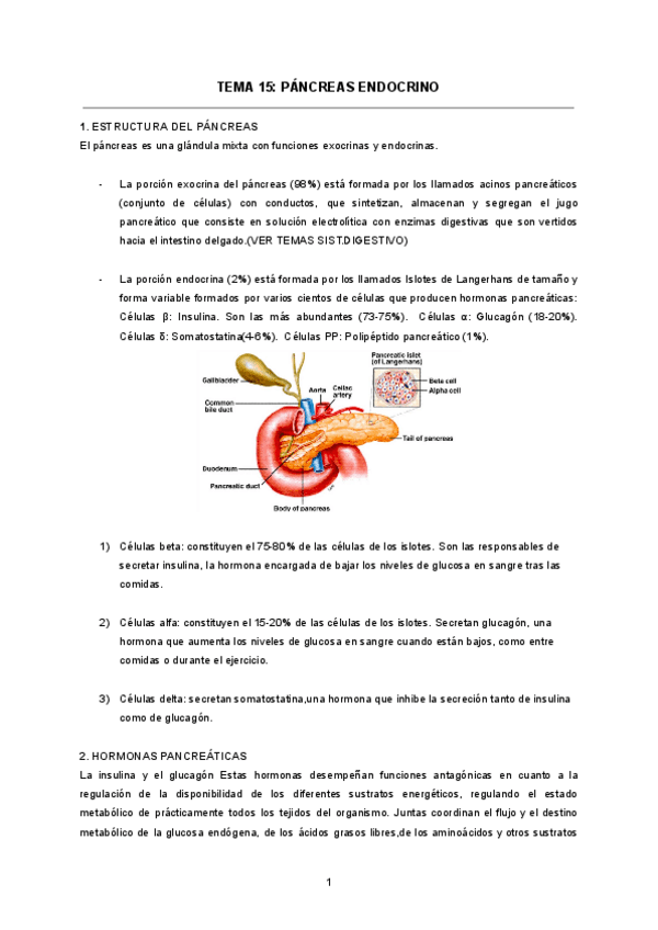 TEMA-15-PANCREAS-ENDOCRINO.pdf