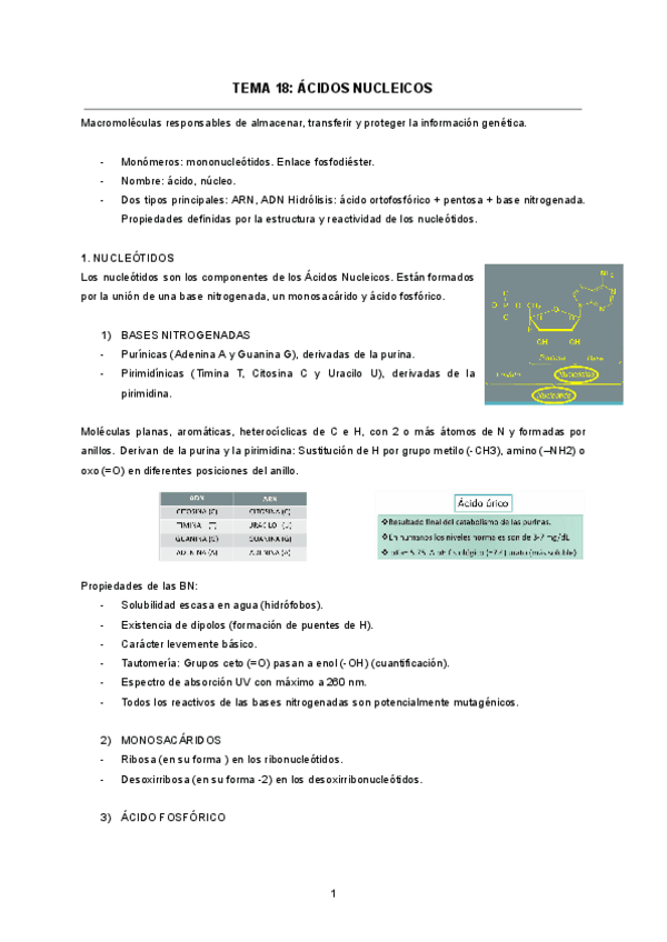 TEMA-18-ACIDOS-NUCLEICOS.pdf