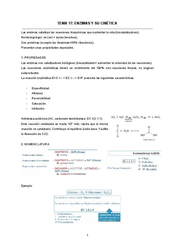 TEMA-17-ENZIMAS-Y-SU-CINETICA.pdf