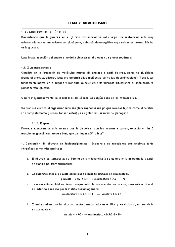 TEMA-16-ANABOLISMO.pdf