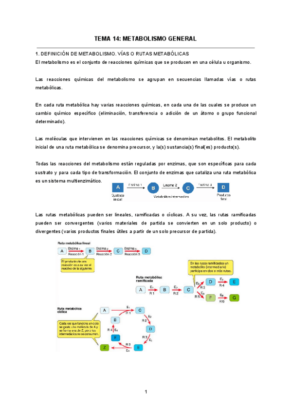 TEMA-14-METABOLISMO-GENERAL.pdf