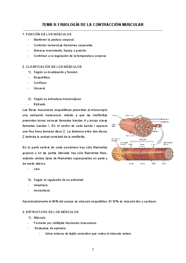 TEMA-9-FISIOLOGIA-DE-LA-CONTRACCION-MUSCULAR.pdf