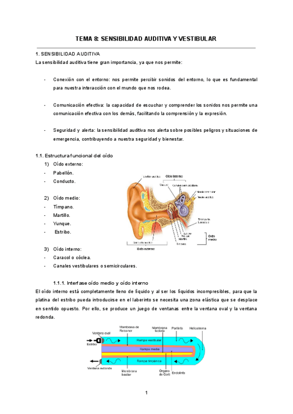 TEMA-8-SENSIBILIDAD-AUDITIVA-Y-VESTIBULAR.pdf
