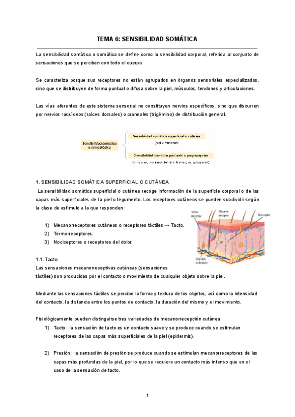 TEMA-6-SENSIBILIDAD-SOMATICA.pdf