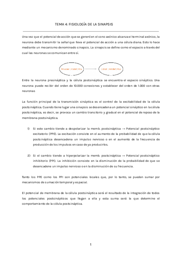 TEMA-4-FISIOLOGIA-DE-LA-SINAPSIS.pdf